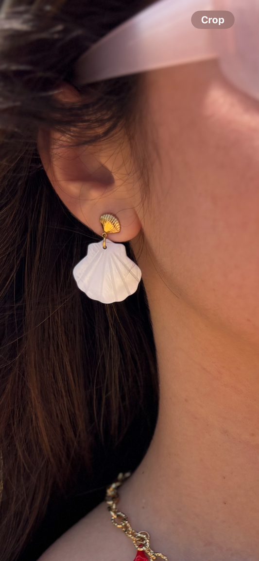 Shell’s Earnings